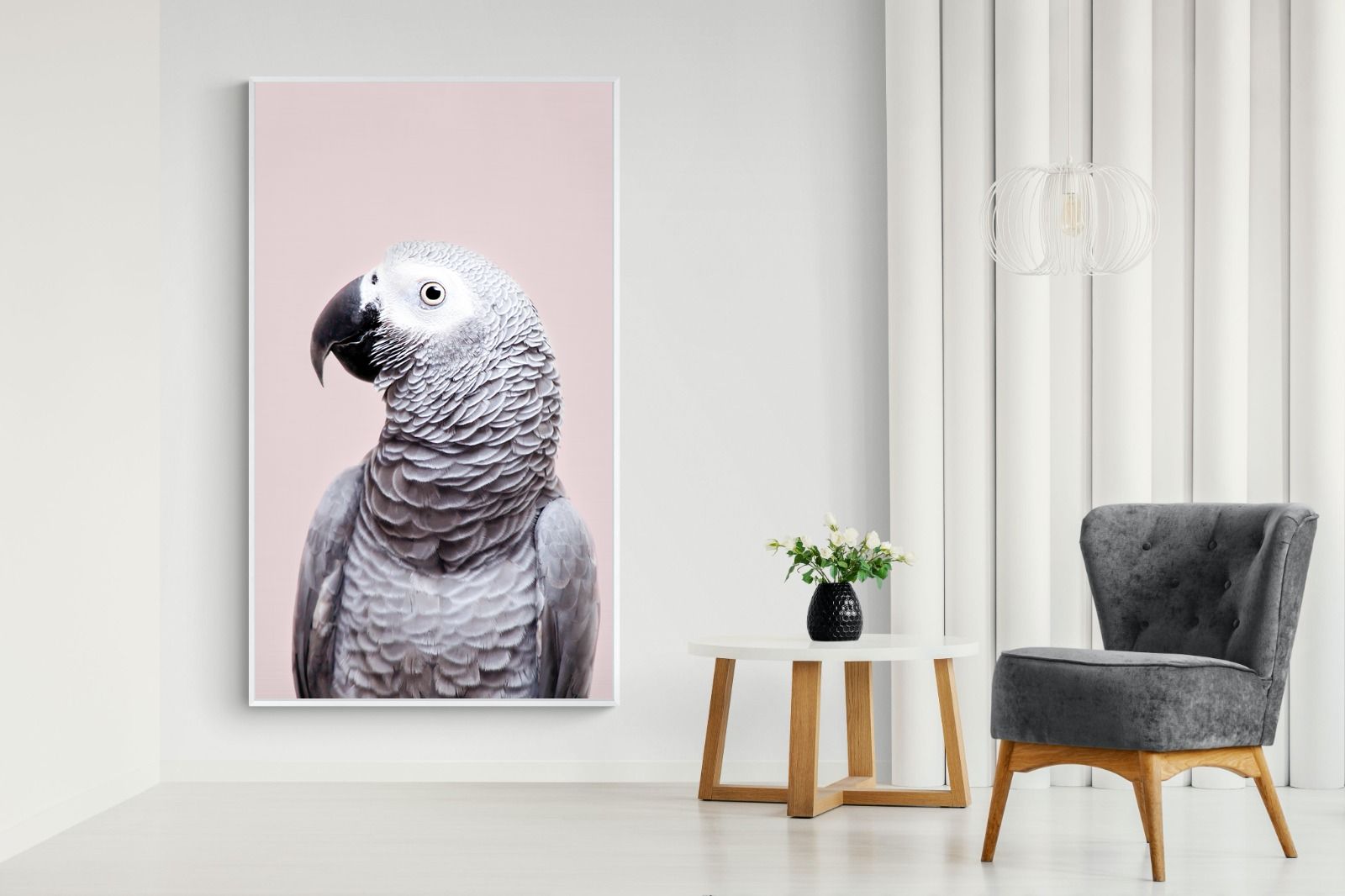 Pixalot African Grey