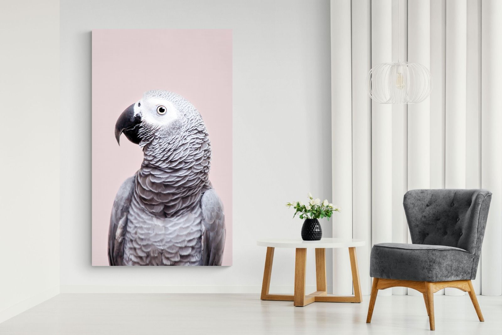 Pixalot African Grey