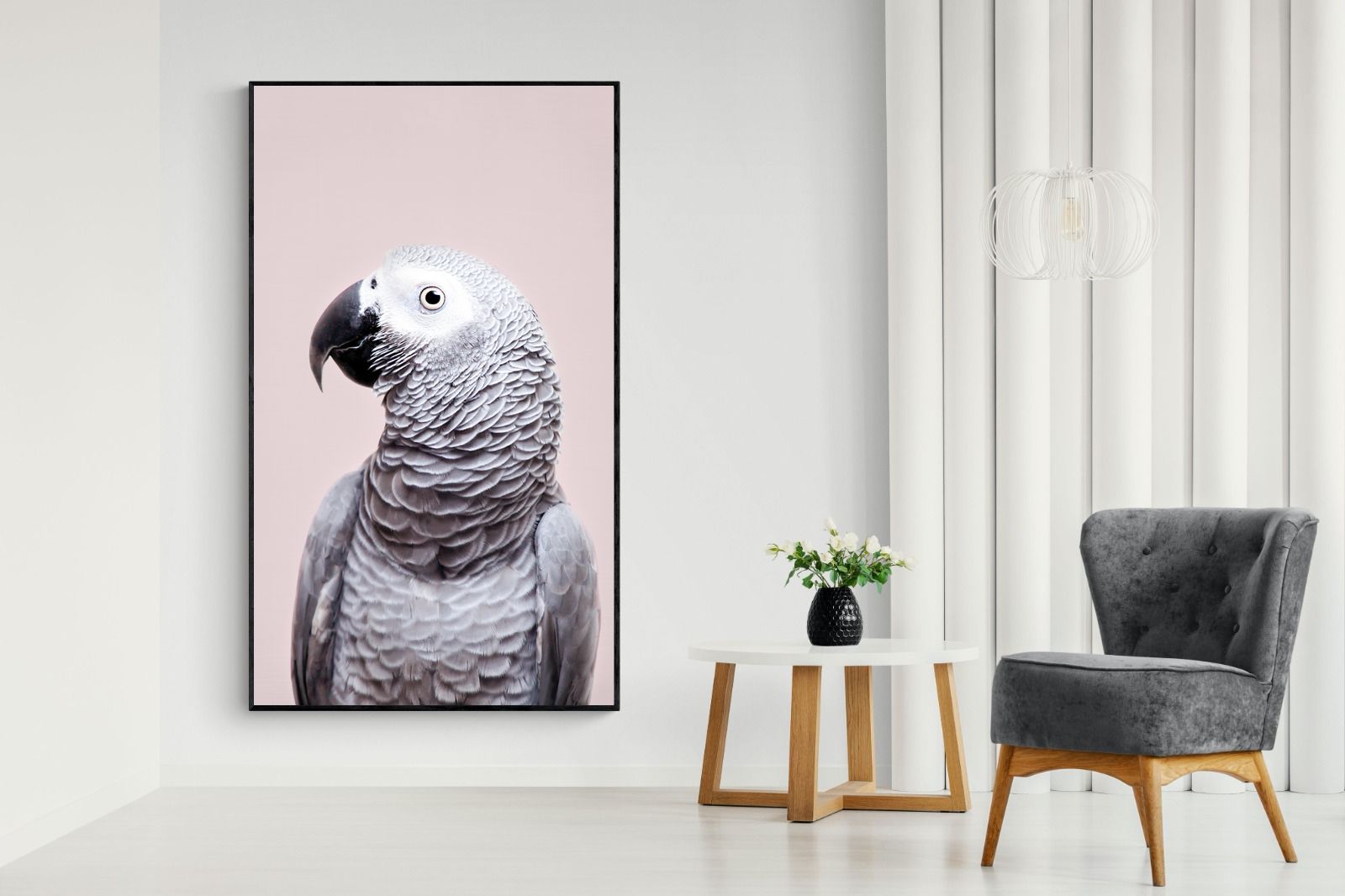 Pixalot African Grey