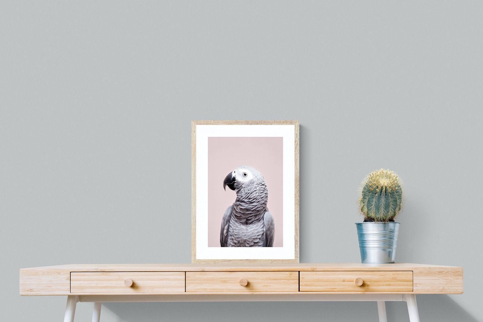 Pixalot African Grey