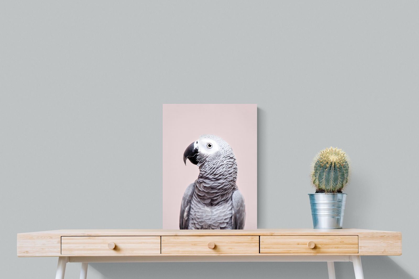 Pixalot African Grey