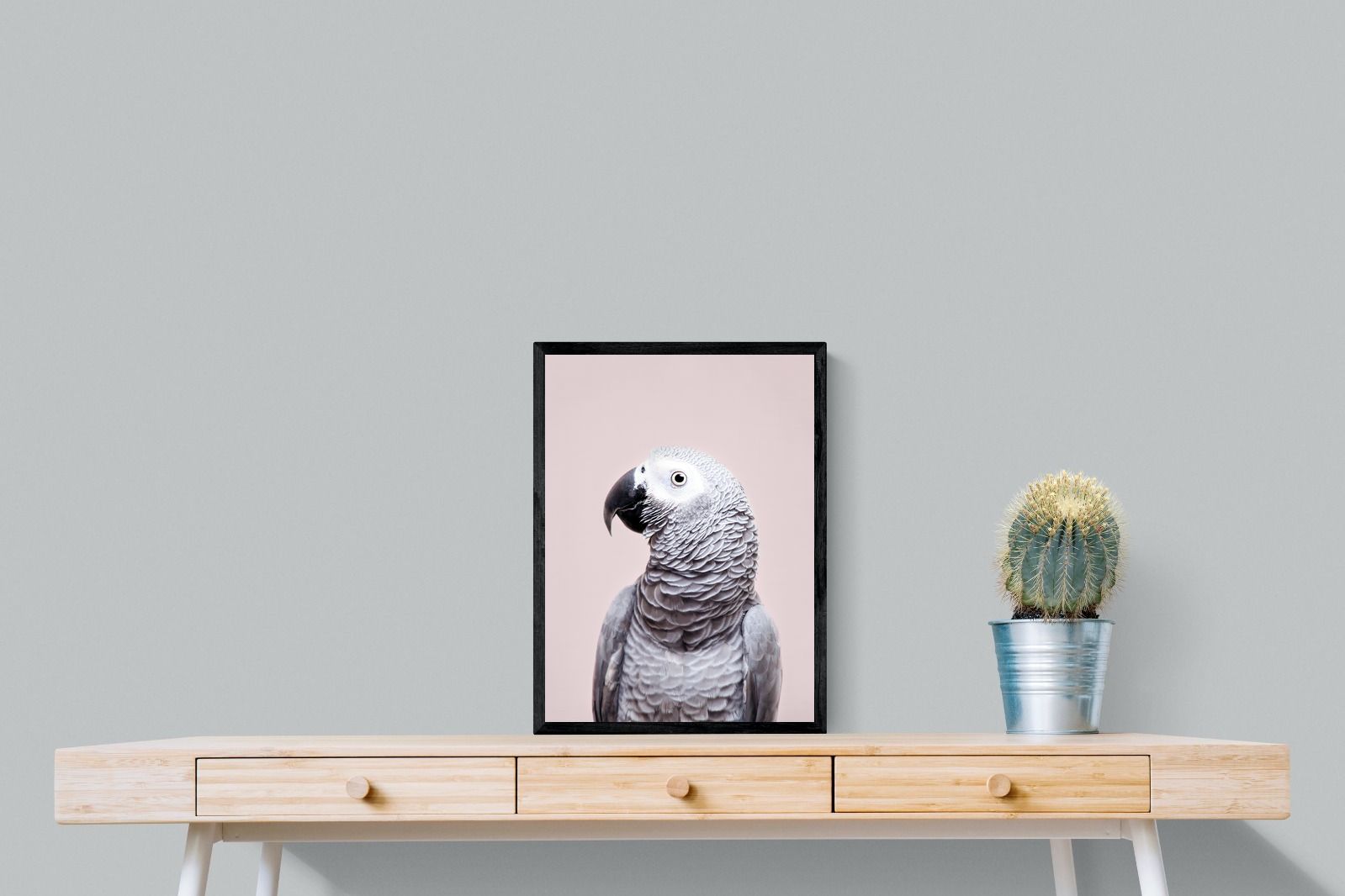 Pixalot African Grey