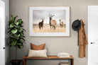 Pixalot Antelope Trio