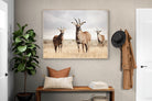 Pixalot Antelope Trio