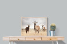 Pixalot Antelope Trio