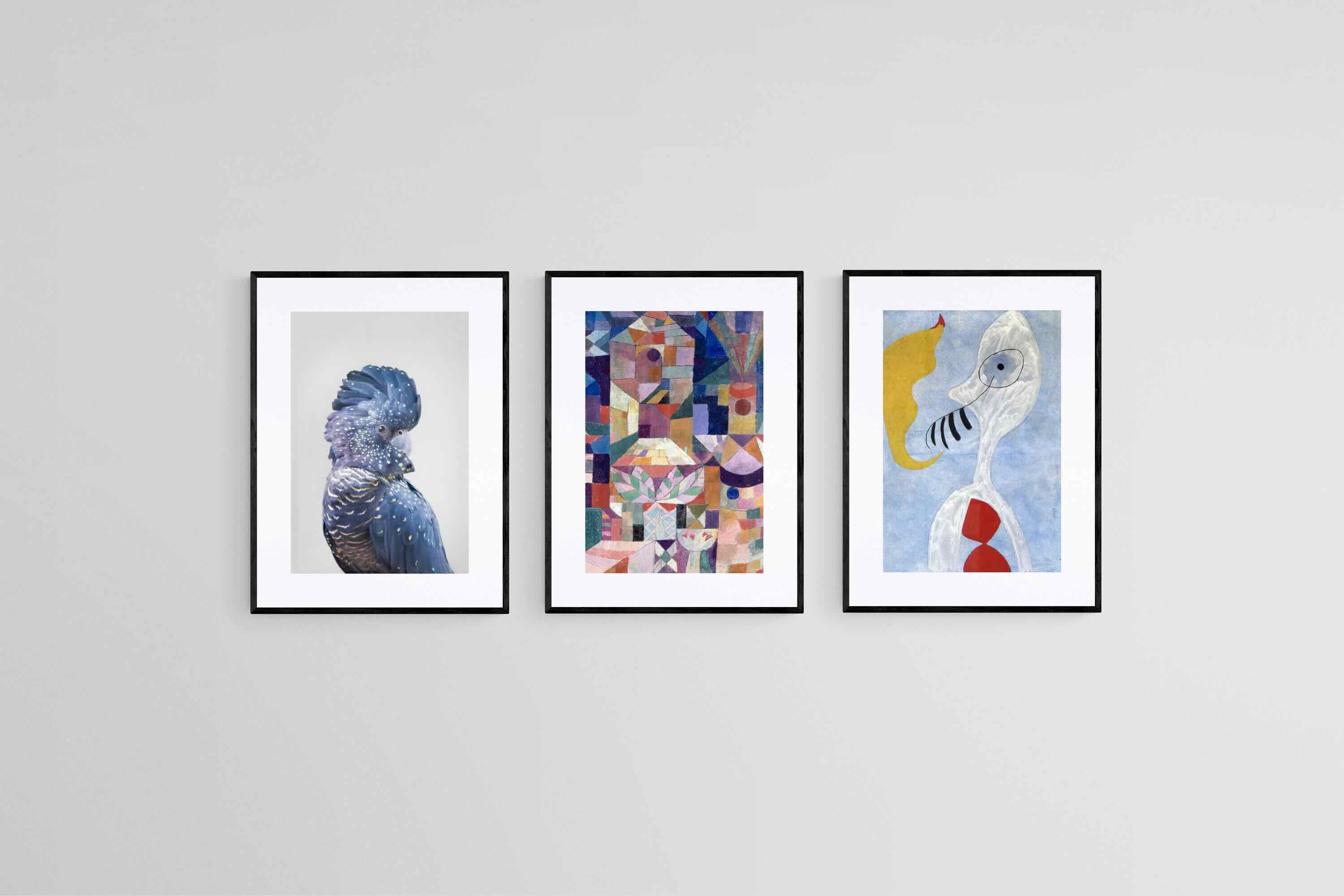 Avian to Abstract Set-Wall_Art-45 x 60cm (x3)-Framed Print-Black-Pixalot