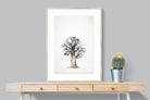 Baobab Legacy #5-Wall_Art-75 x 100cm-Framed Print-Wood-Pixalot