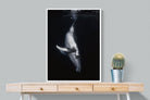 Pixalot Black Whale