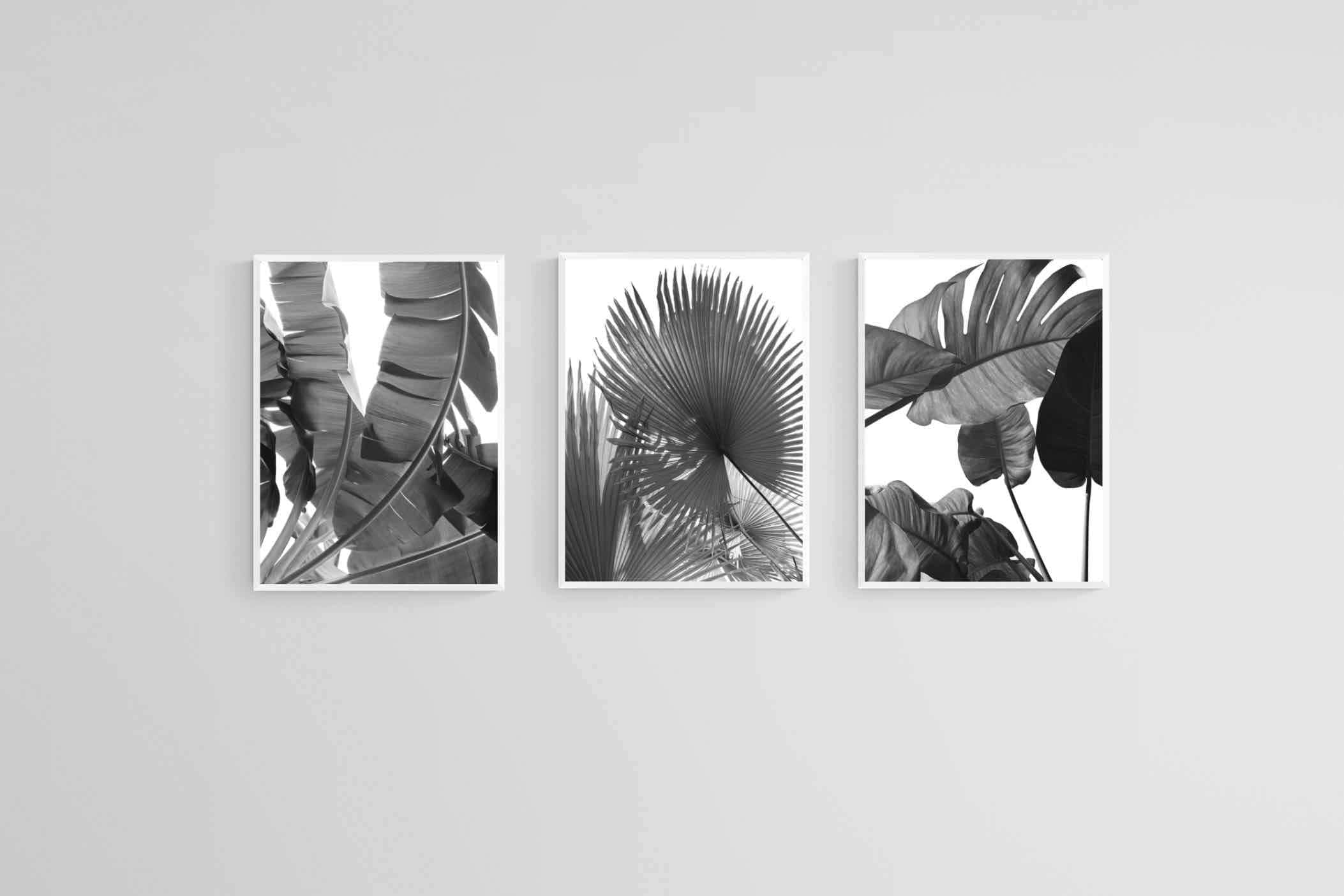 Black & White Foliage Set-Wall_Art-45 x 60cm (x3)-Mounted Canvas-White-Pixalot