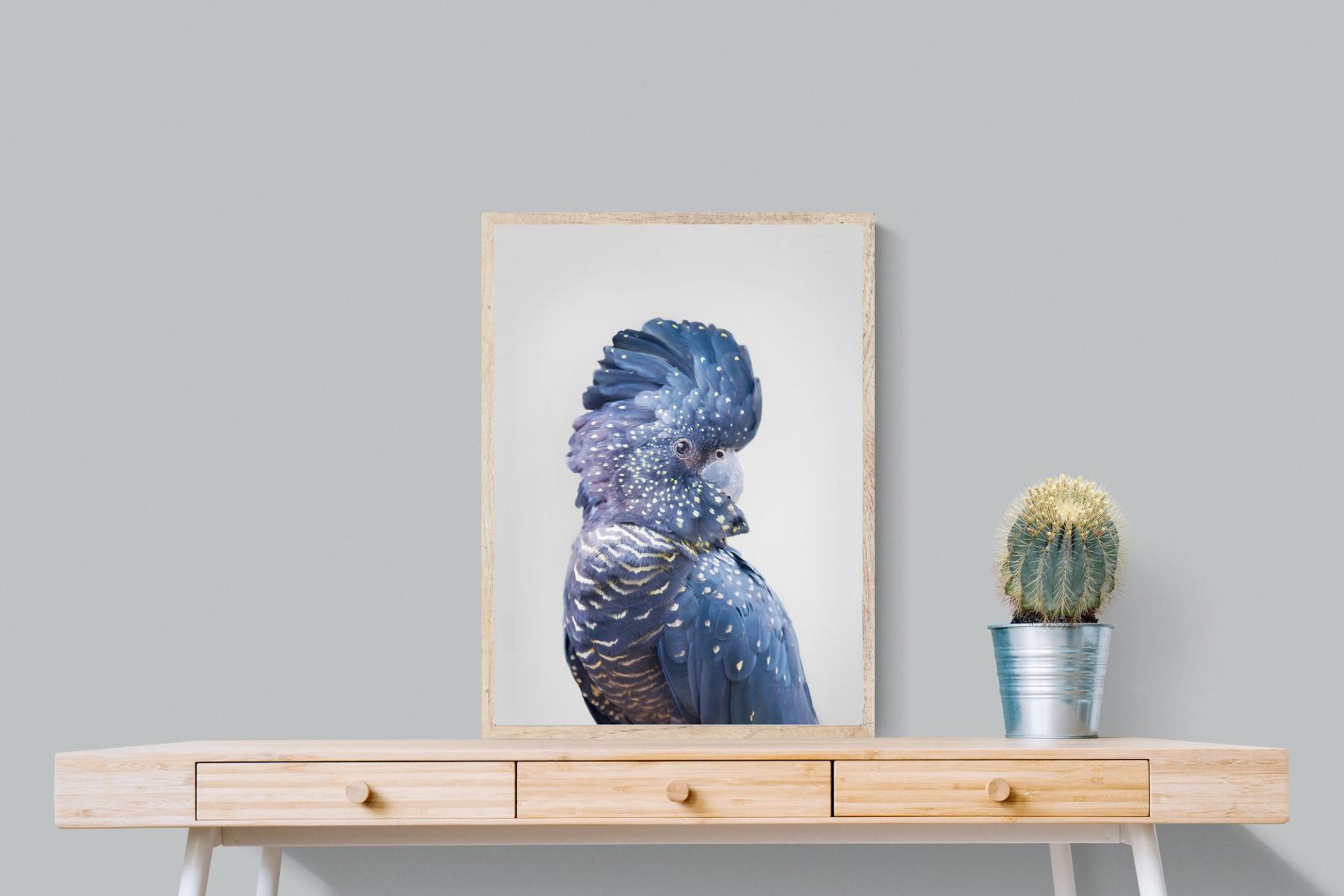 Pixalot Blue Cockatoo