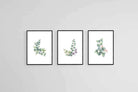 Botanical Set-Wall_Art-45 x 60cm (x3)-Mounted Canvas-Black-Pixalot