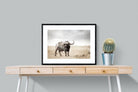 Pixalot Broad Buffalo