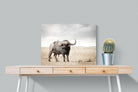 Pixalot Broad Buffalo