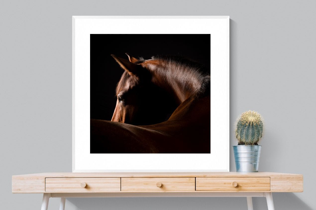 Bronze Mare-Wall_Art-100 x 100cm-Framed Print-White-Pixalot