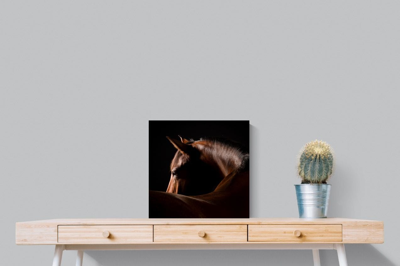 Bronze Mare-Wall_Art-50 x 50cm-Mounted Canvas-No Frame-Pixalot