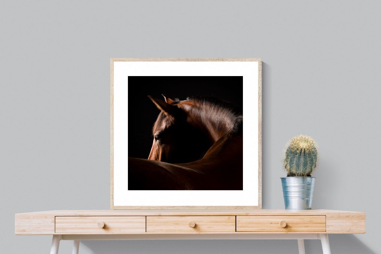 Bronze Mare-Wall_Art-80 x 80cm-Framed Print-Wood-Pixalot