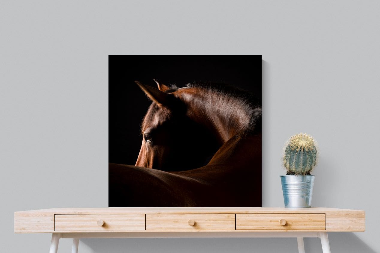 Bronze Mare-Wall_Art-80 x 80cm-Mounted Canvas-No Frame-Pixalot