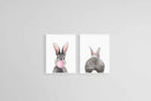 Bubblegum Bunny Set-Wall_Art-45 x 60cm (x2)-Mounted Canvas-White-Pixalot