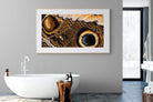 Butterly Wings-Wall_Art-180 x 110cm-Framed Print-Wood-Pixalot