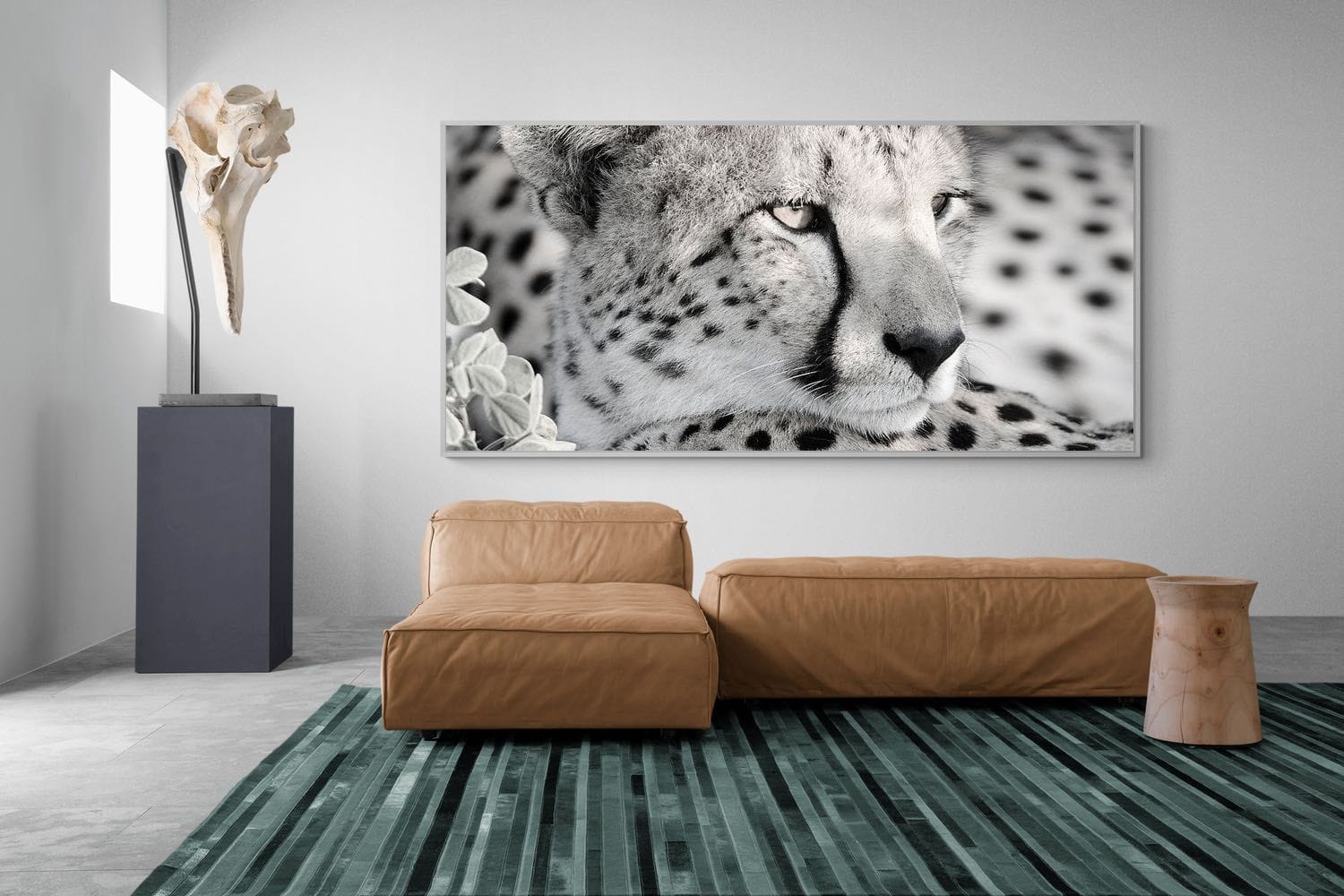 Cheetah Glare-Wall_Art-275 x 130cm-Mounted Canvas-White-Pixalot