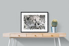 Cheetah Glare-Wall_Art-80 x 60cm-Framed Print-Black-Pixalot