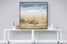 Cheetah Parenting-Wall_Art-120 x 120cm-Mounted Canvas-Black-Pixalot