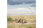 Cheetah Parenting-Wall_Art-Pixalot