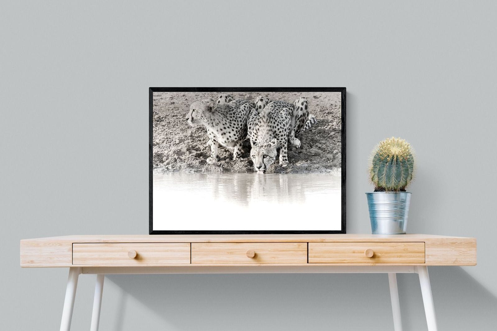 Cheetah Sisters-Wall_Art-80 x 60cm-Mounted Canvas-Black-Pixalot