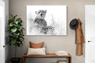 Pixalot Cheetah Whiteout