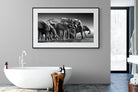 Chobe Elephants-Wall_Art-180 x 110cm-Framed Print-Black-Pixalot