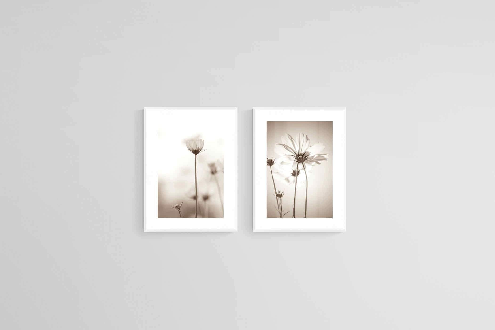 Cosmos Set-Wall_Art-45 x 60cm (x2)-Framed Print-White-Pixalot