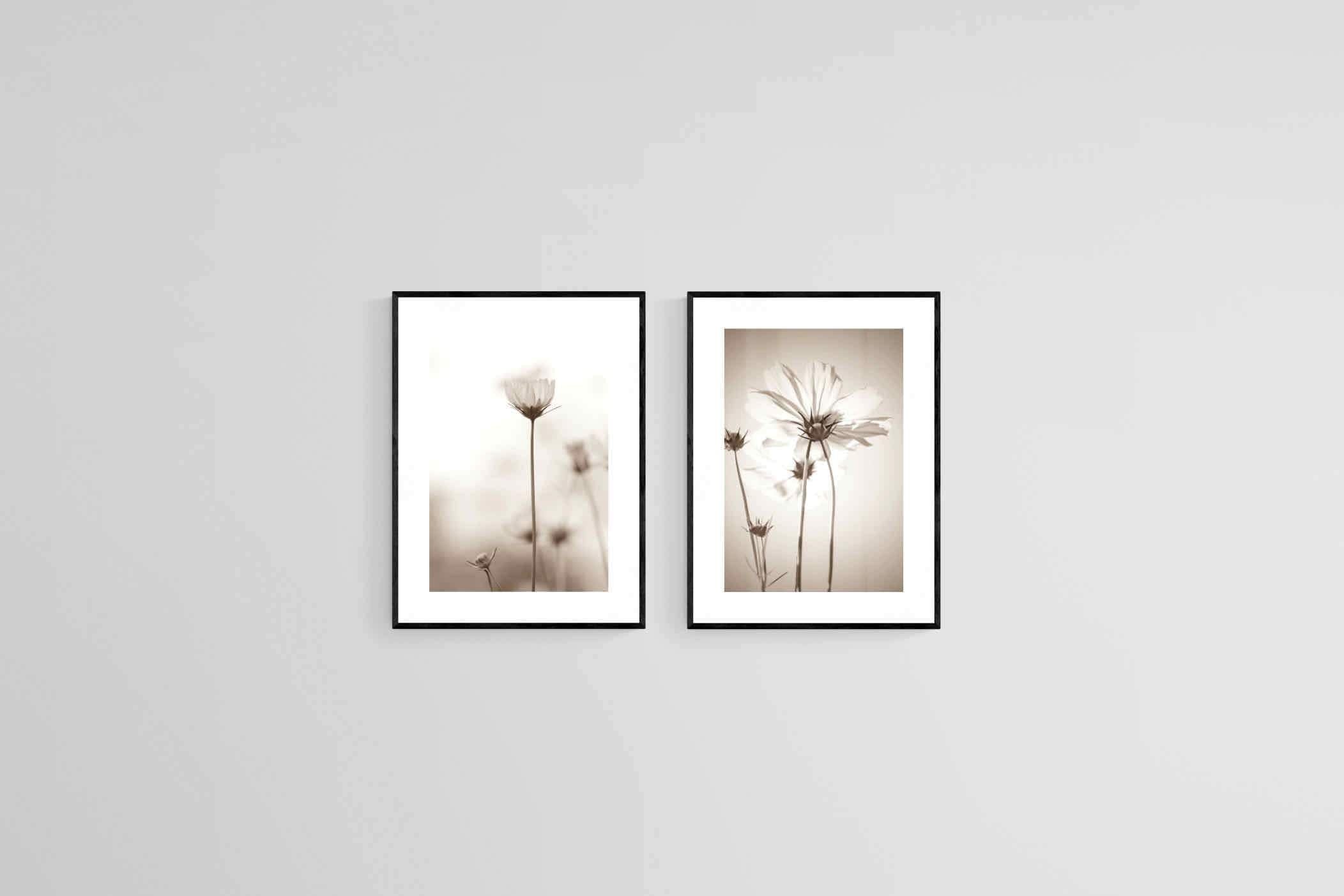 Cosmos Set-Wall_Art-45 x 60cm (x2)-Framed Print-Black-Pixalot