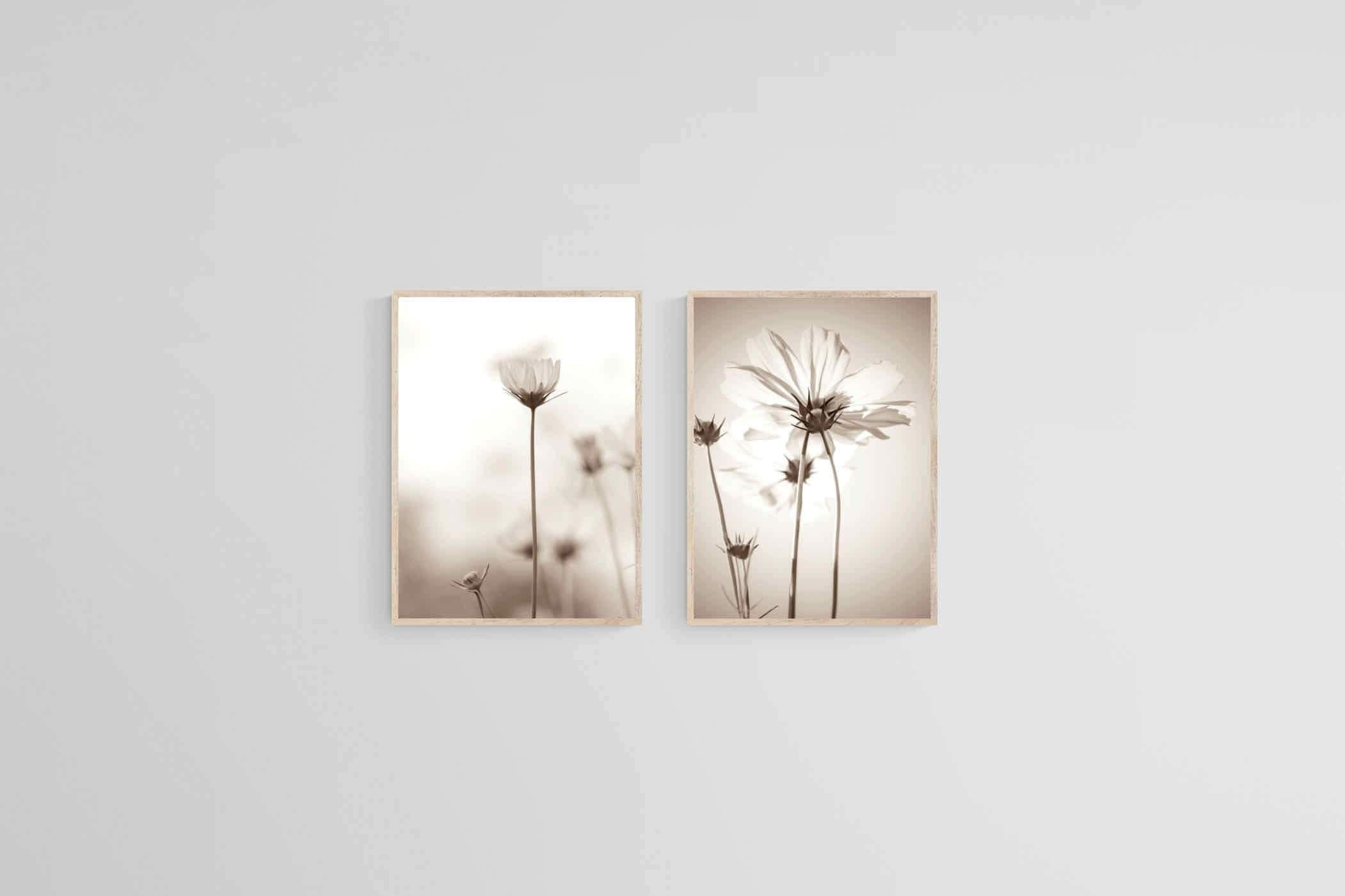 Cosmos Set-Wall_Art-45 x 60cm (x2)-Mounted Canvas-Wood-Pixalot