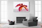 Crimson Flora-Wall_Art-150 x 100cm-Mounted Canvas-White-Pixalot