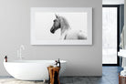 Pixalot Curious Horse