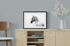 Pixalot Curious Horse