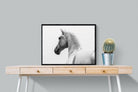 Pixalot Curious Horse