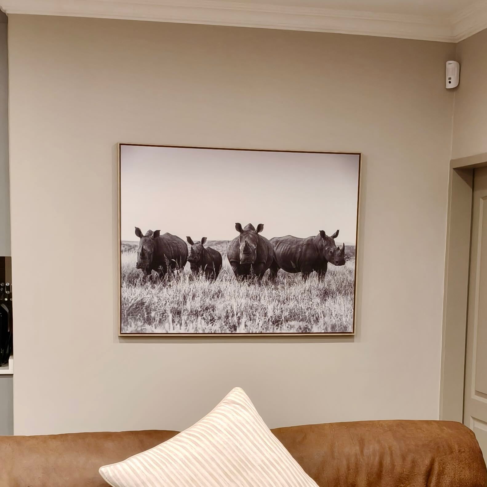 Musketeer from Pixalot