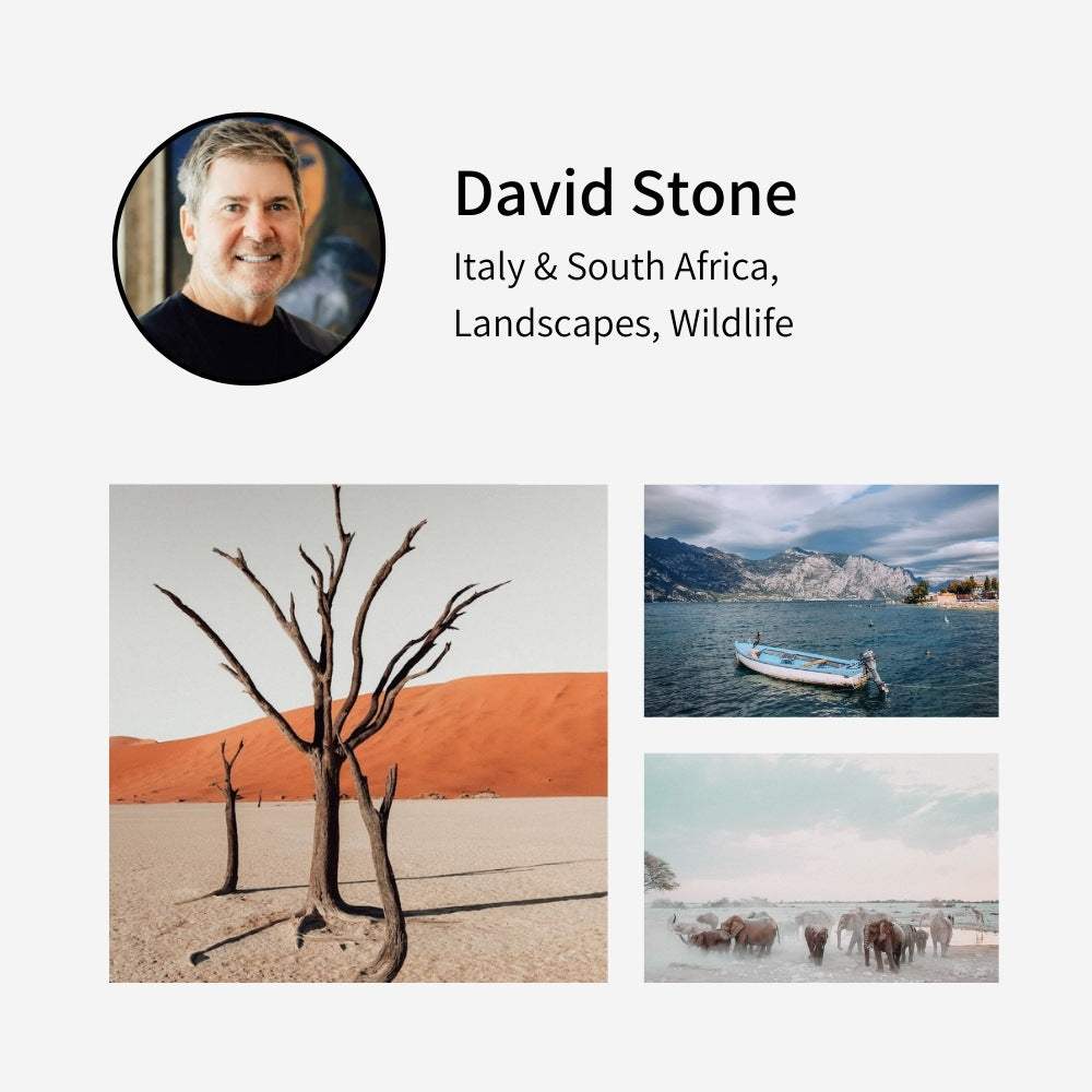 David Stone Photography at Pixalot