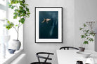 Pixalot Dolphin Meets Whale