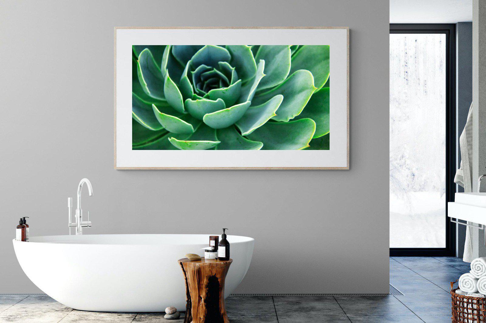 Echeveria Elegans-Wall_Art-180 x 110cm-Framed Print-Wood-Pixalot