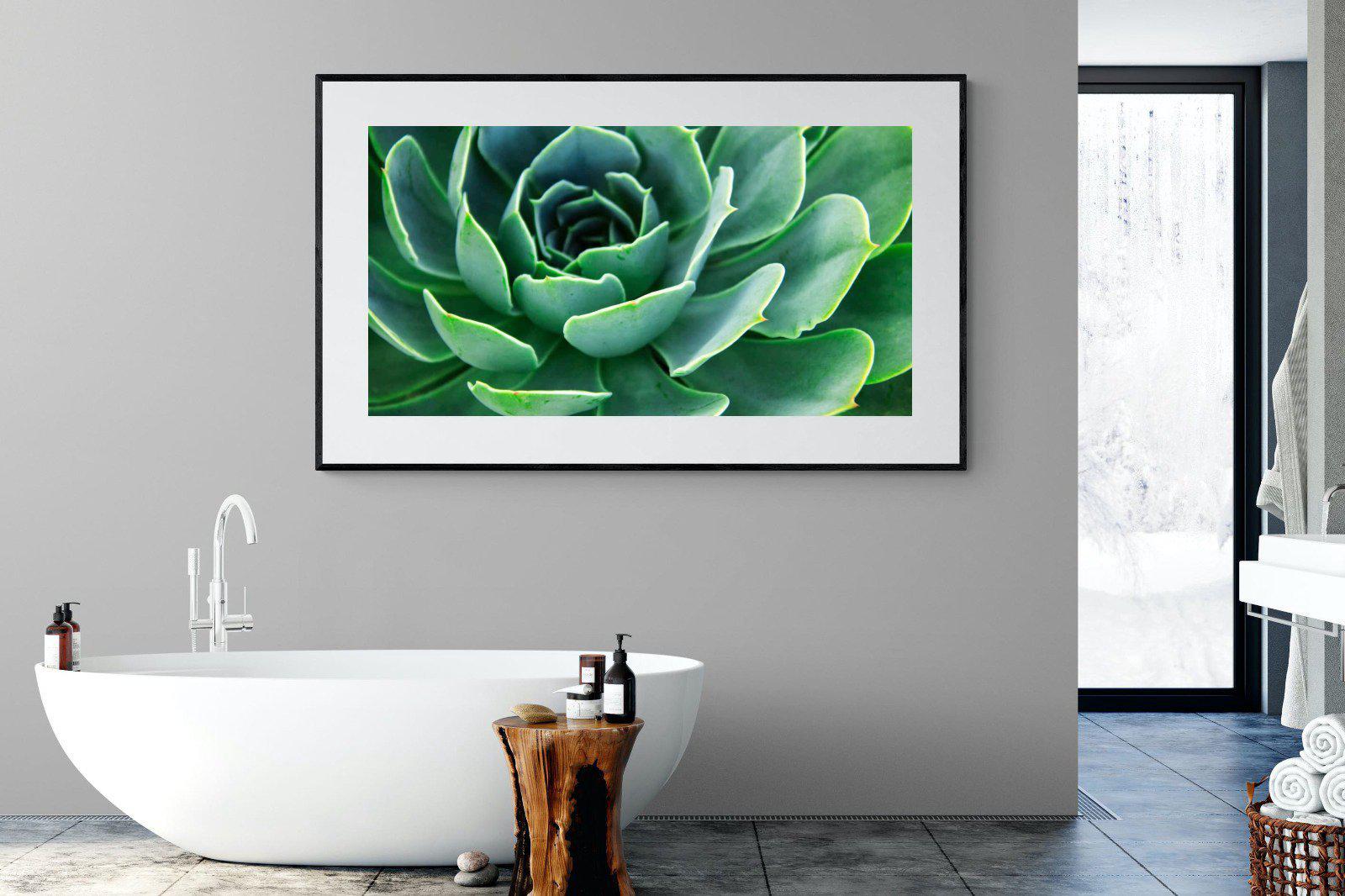 Echeveria Elegans-Wall_Art-180 x 110cm-Framed Print-Black-Pixalot