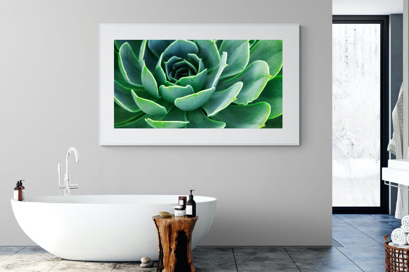 Echeveria Elegans-Wall_Art-180 x 110cm-Framed Print-White-Pixalot