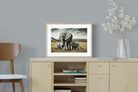 Pixalot Elephant Family Union