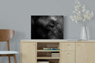 Elephant Skin-Wall_Art-60 x 45cm-Mounted Canvas-No Frame-Pixalot