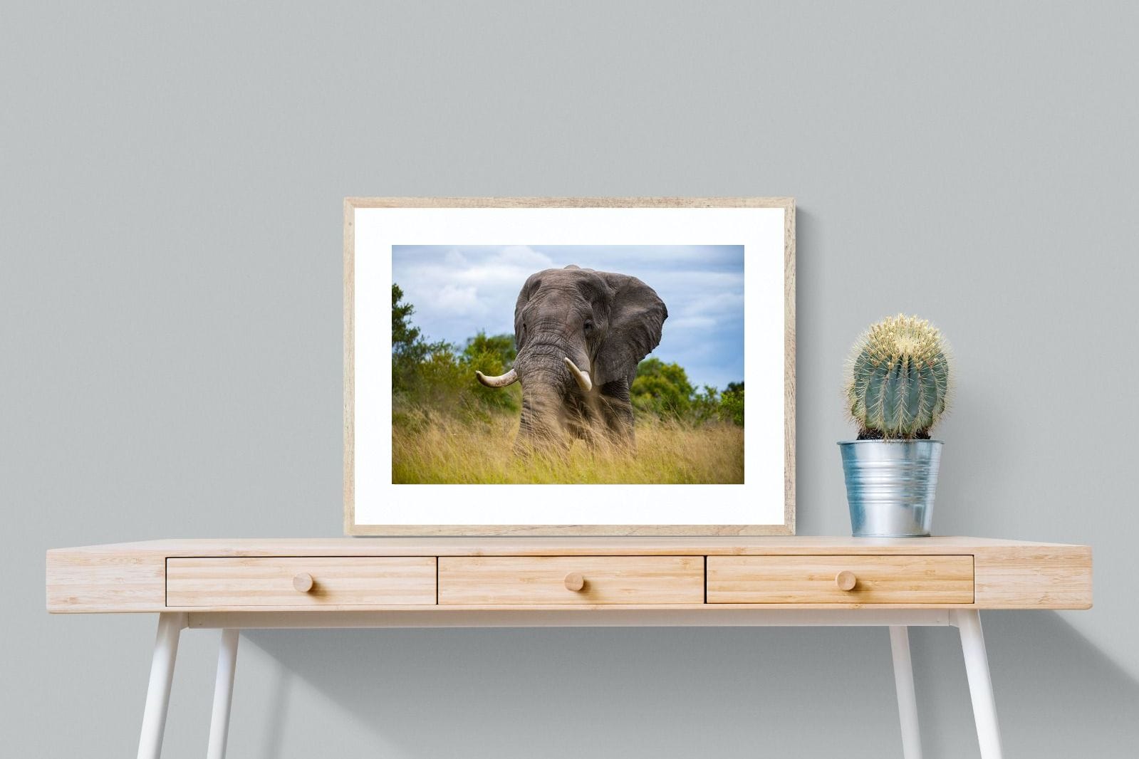 Emerge-Wall_Art-80 x 60cm-Framed Print-Wood-Pixalot