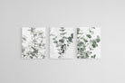 Eucalyptus Set-Wall_Art-45 x 60cm (x3)-Mounted Canvas-No Frame-Pixalot
