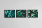 Foliage Set-Wall_Art-60 x 45cm (x3)-Mounted Canvas-Black-Pixalot