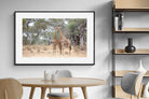 Pixalot Giraffe Kisses