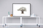High Key Baobab-Wall_Art-120 x 90cm-Framed Print-Black-Pixalot